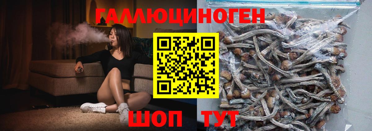 Борисоглебск  Псилоцибиновые грибы Cubensis  Псилоцибиновые грибы мухоморы  Вход с VPN 